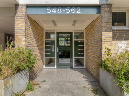 Bachstraat 556
