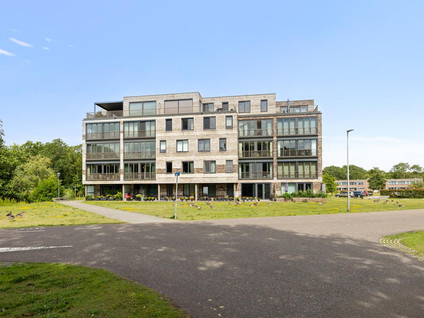 Eikenhout 333