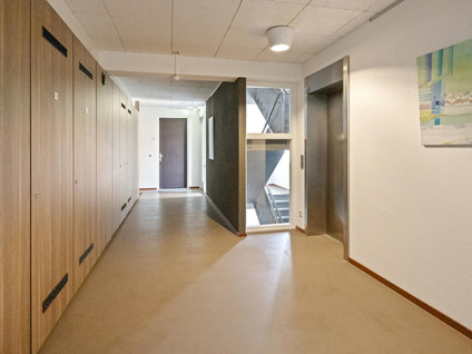 Eikenhout 333