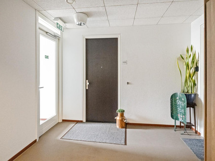 Eikenhout 333