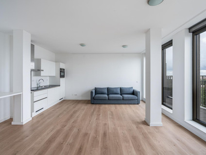 Van Vollenhovenstraat 3 911