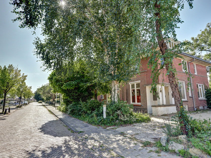 Lytsedyk 10