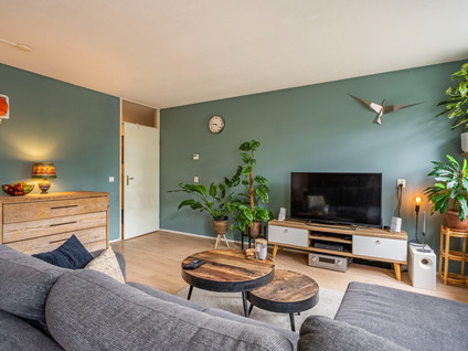 Ridderspoor 31