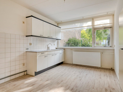 Van Bellelaan 31