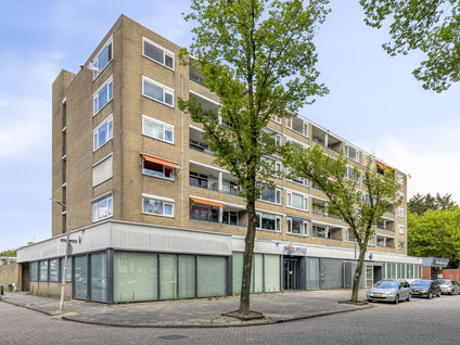 Spaansgroenstraat 34