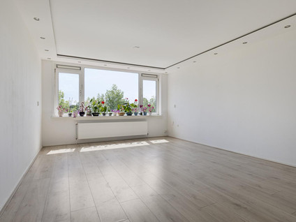 Spaansgroenstraat 34