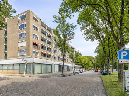 Spaansgroenstraat 34