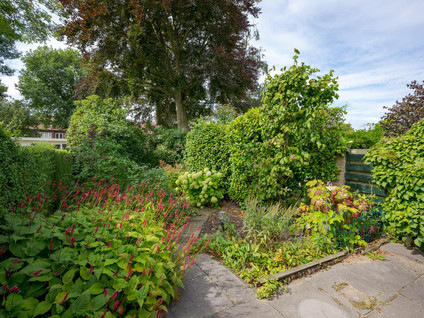 Wijngaardenlaan 55