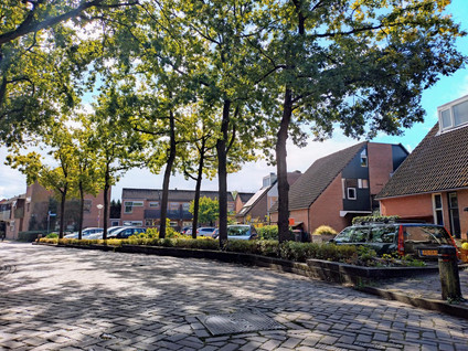Nienhuis Ruijskade 78