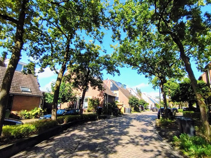 Nienhuis Ruijskade 78