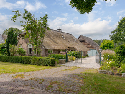Westerborkerstraat 20