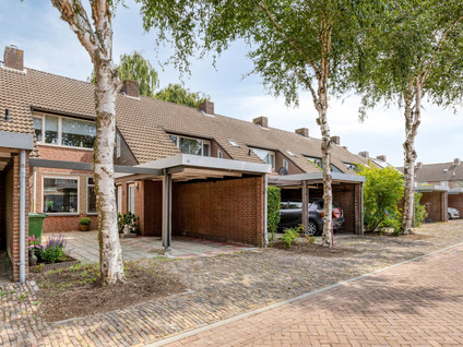 Doornbos 35
