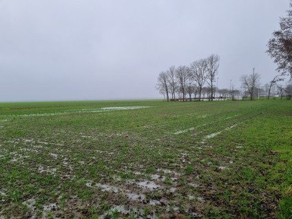 Het Laantje 