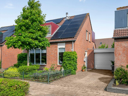 Roerdomp 91