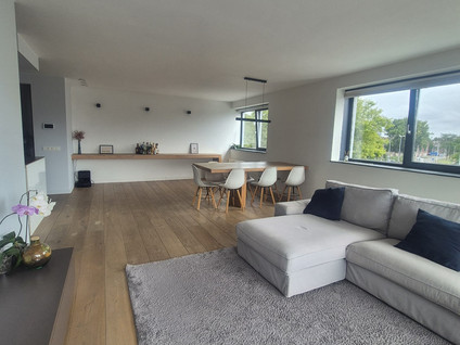 Coolhaven 421