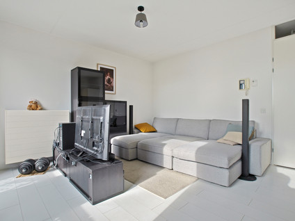 Blauwvoetstraat 17