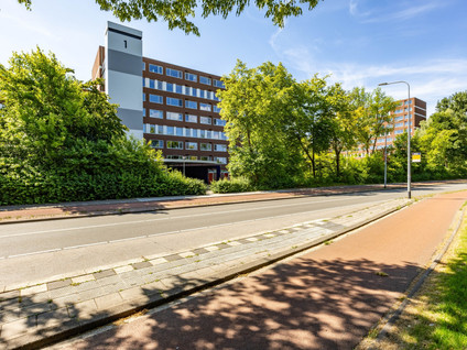 Meerpaal 36