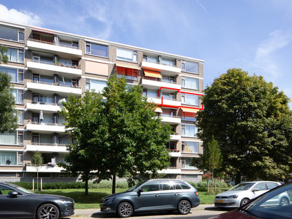 Zwedenburg 50