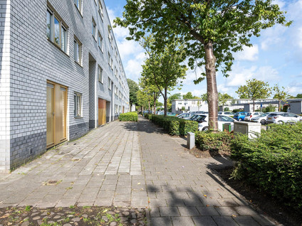 Mandolinestraat 97