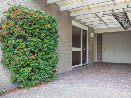 Aardbolhof 3
