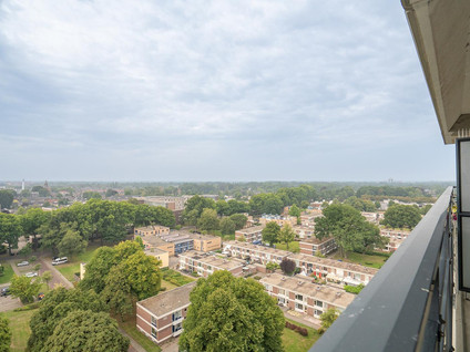 Jekerstraat 252