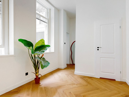 Hooigracht 37