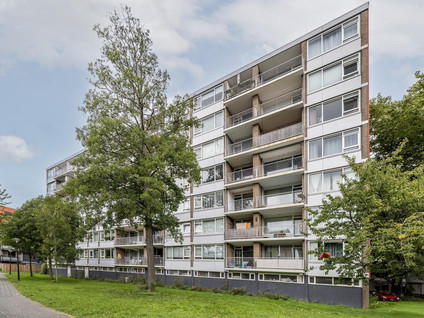 Toon Verheystraat 161
