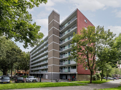 Toon Verheystraat 161