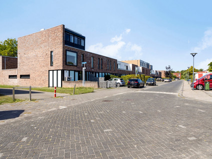 Priemkruid 39