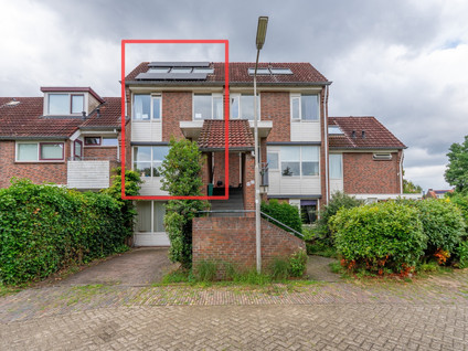 Moeflonstraat 19