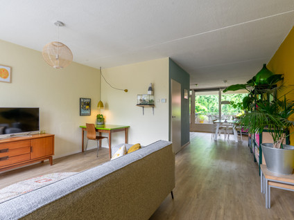 Moeflonstraat 19