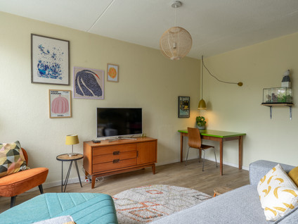 Moeflonstraat 19