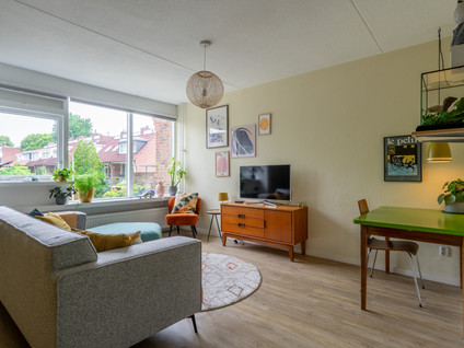 Moeflonstraat 19