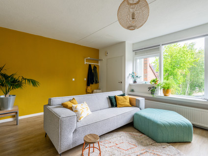 Moeflonstraat 19