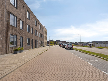 Rijstpellerij 12