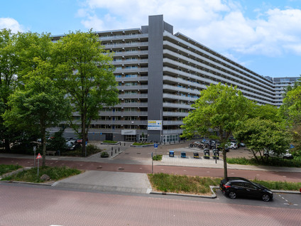 Griegplein 53