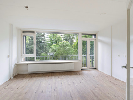 Griegplein 53