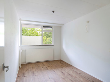 Griegplein 53