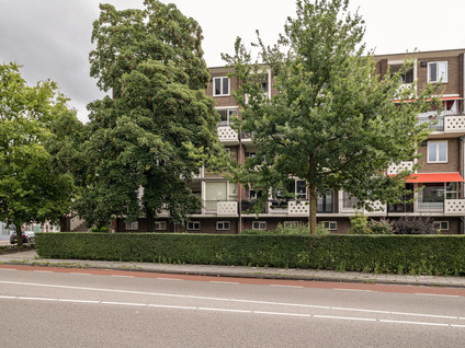 Oldenzaalsestraat 244
