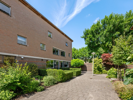 Vecht 17