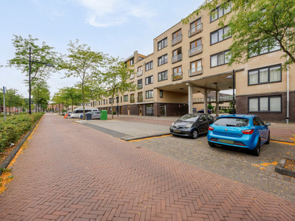 Avenue Carré 217