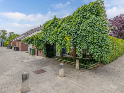 Oude Vlie 98