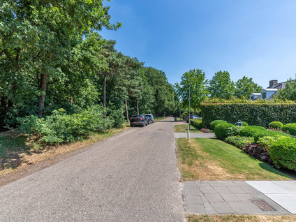 Hoenderstraat 115