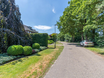 Hoenderstraat 115