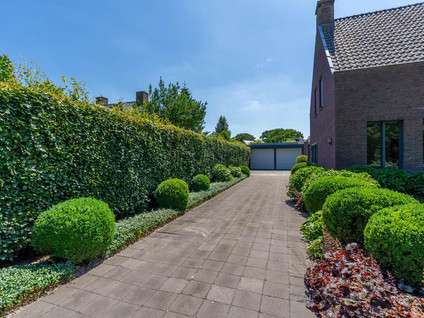 Hoenderstraat 115