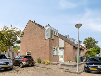 Anjer 1
