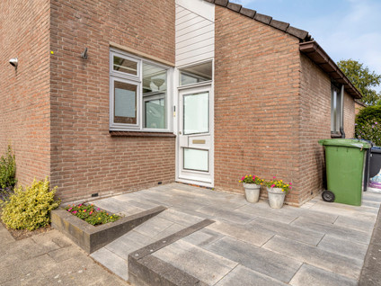 Anjer 1