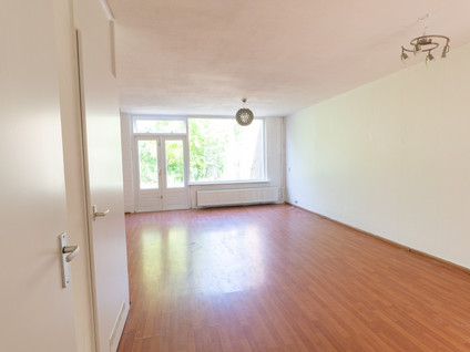 Larix 7