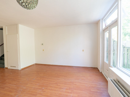 Larix 7