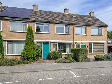 Geelkruid 33